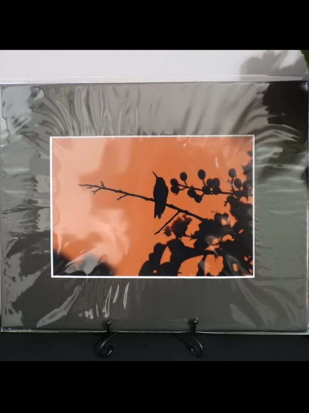 2/$13 Matted Photography Hummingbird Silhouette, 8x10